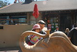 Riding the elephant