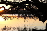 Myall Lakes Feb 2016